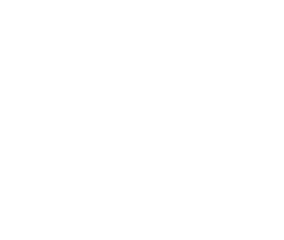 Aa films Partner with Trzy