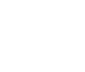 Marflix Partner with Trzy