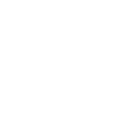 Creative Ideation