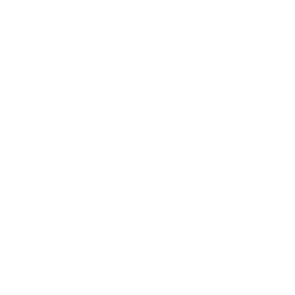 Campus, Mall & City Events