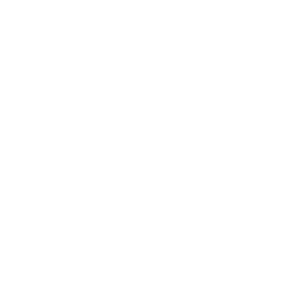 Strategic Consulting