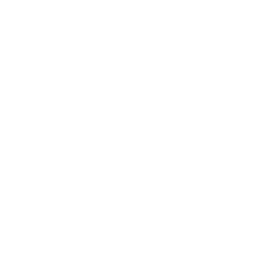 Digital & Tech-Driven Experiences