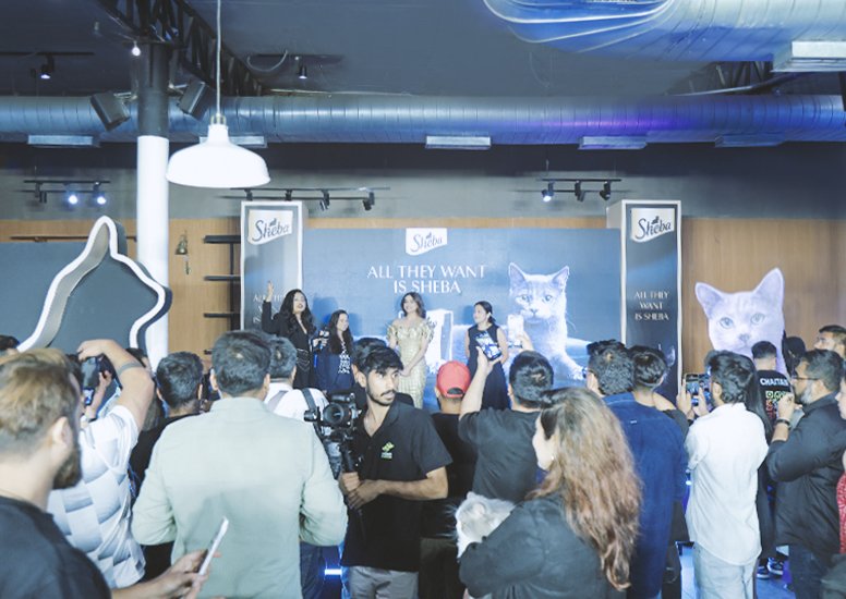 End-to-End Launch Event Services