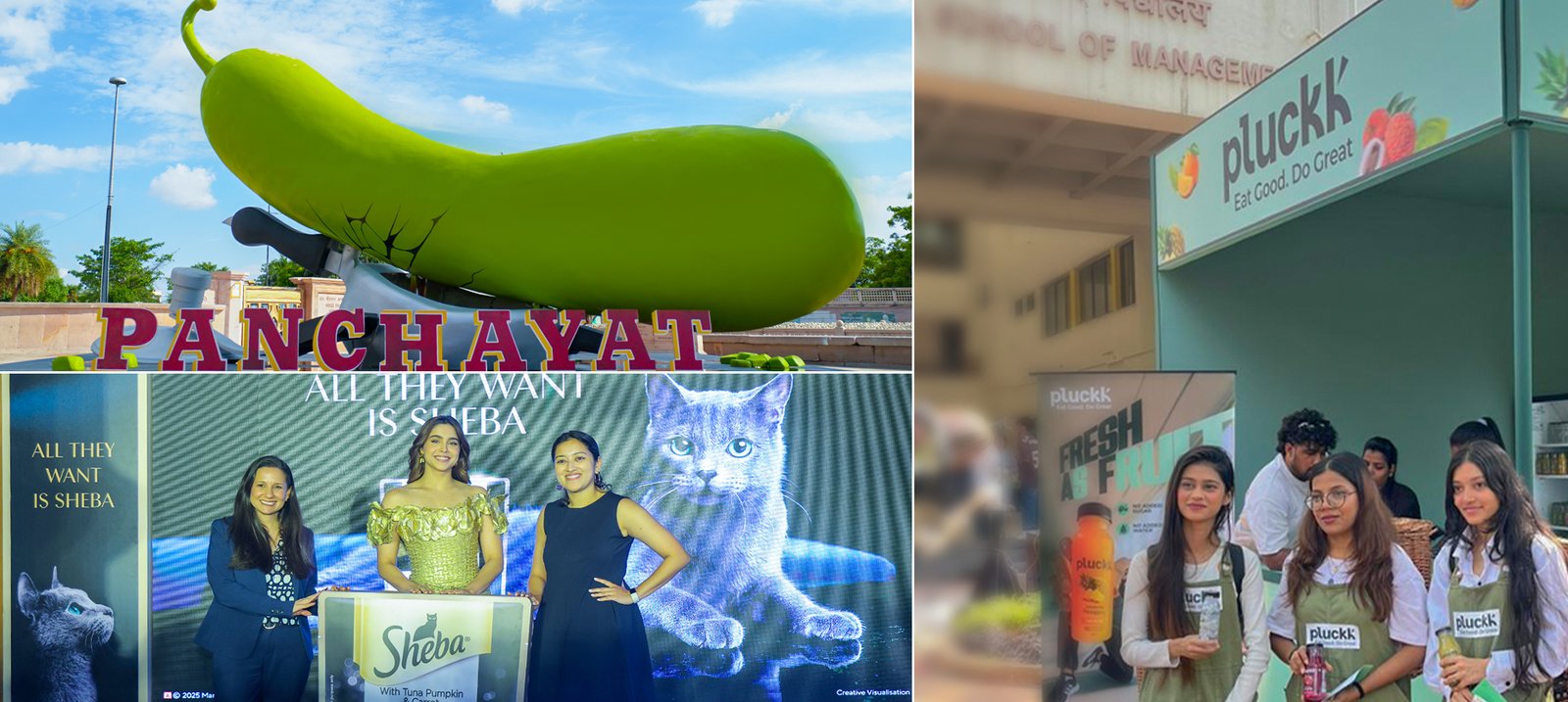 Offline Marketing Services in India